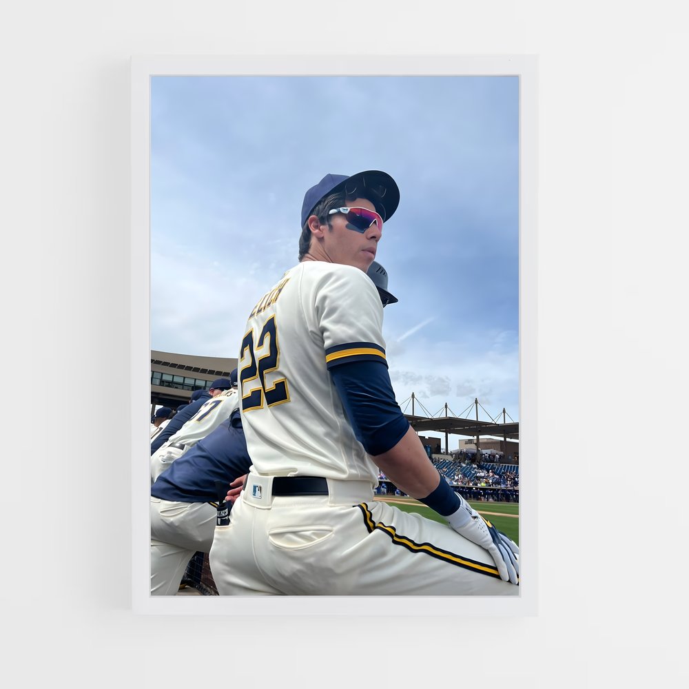 Poster The Benchwarmer – affiche Baseball (vue 3)
